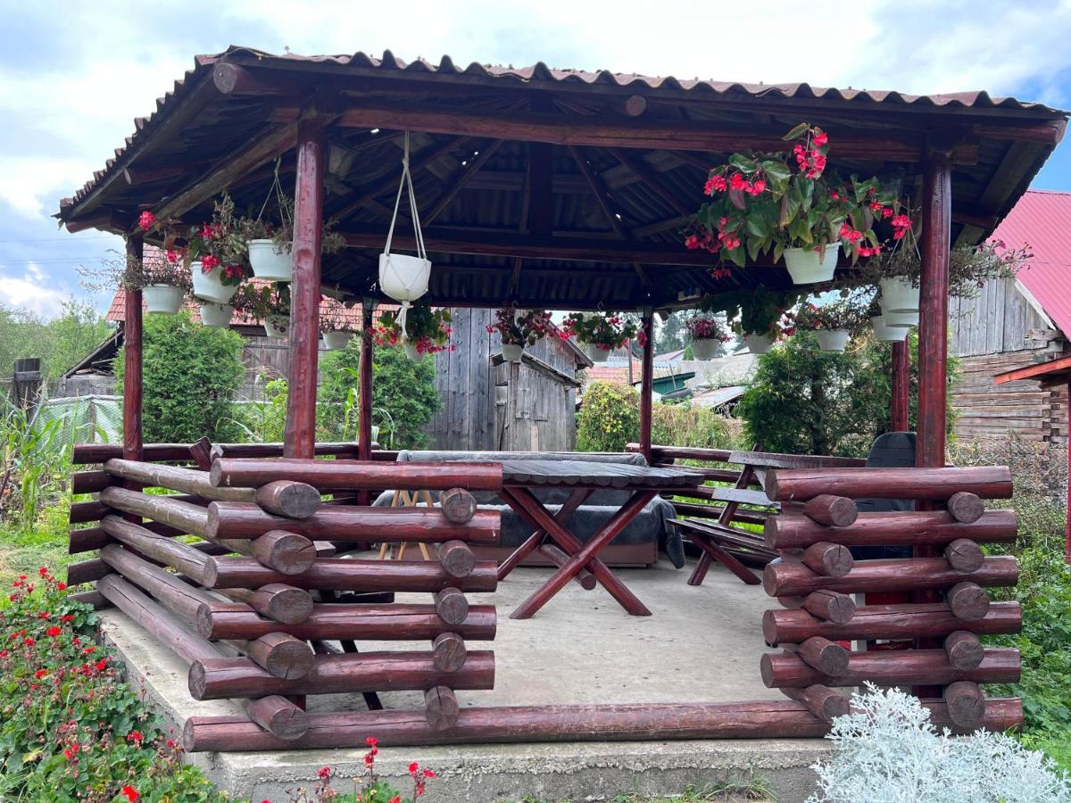 Penzion Casa Helen Insurance&Tourism Galócaş Exteriér fotografie