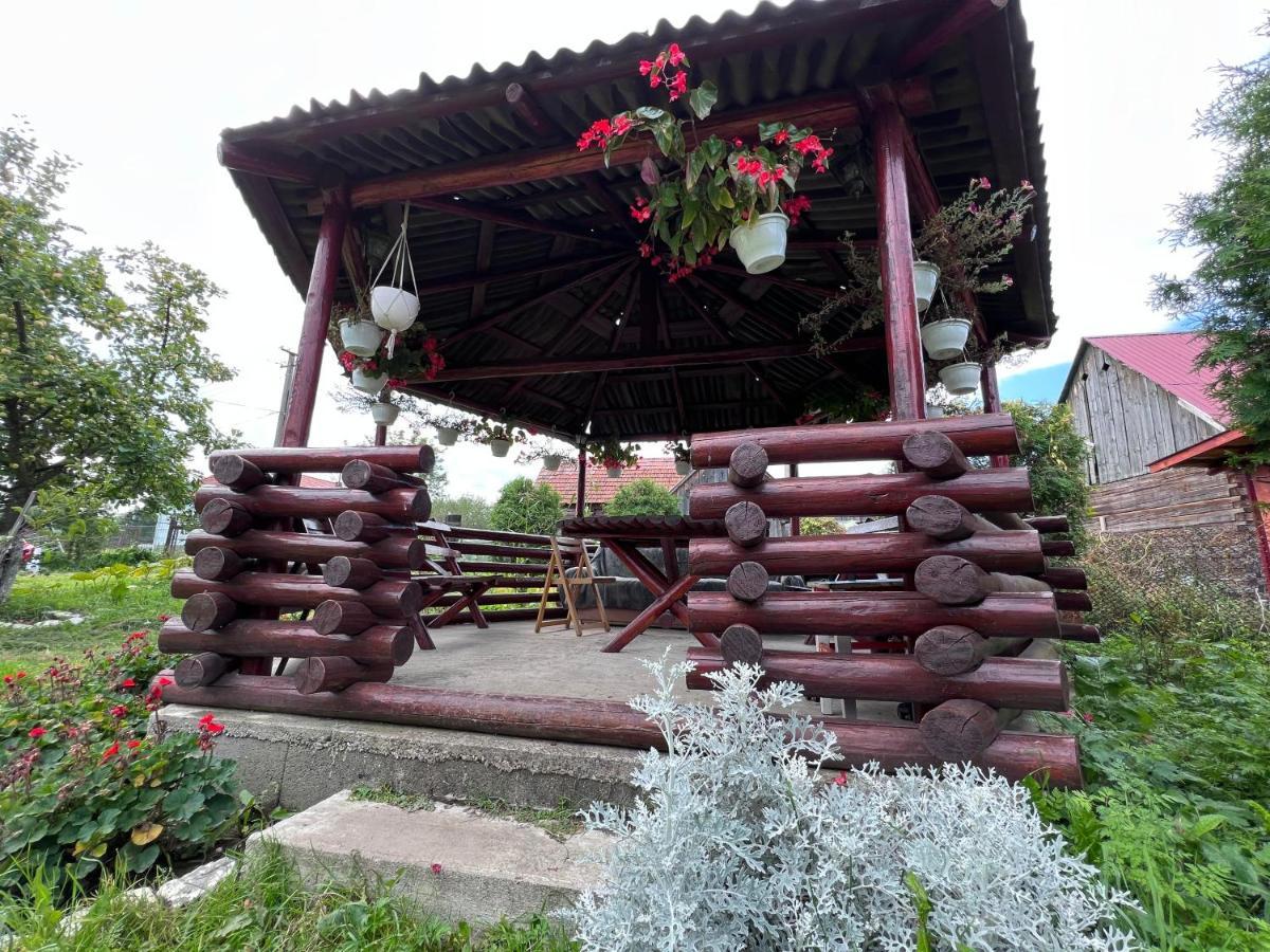 Penzion Casa Helen Insurance&Tourism Galócaş Exteriér fotografie